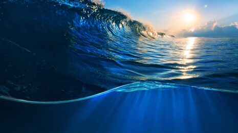 Химический состав морской воды